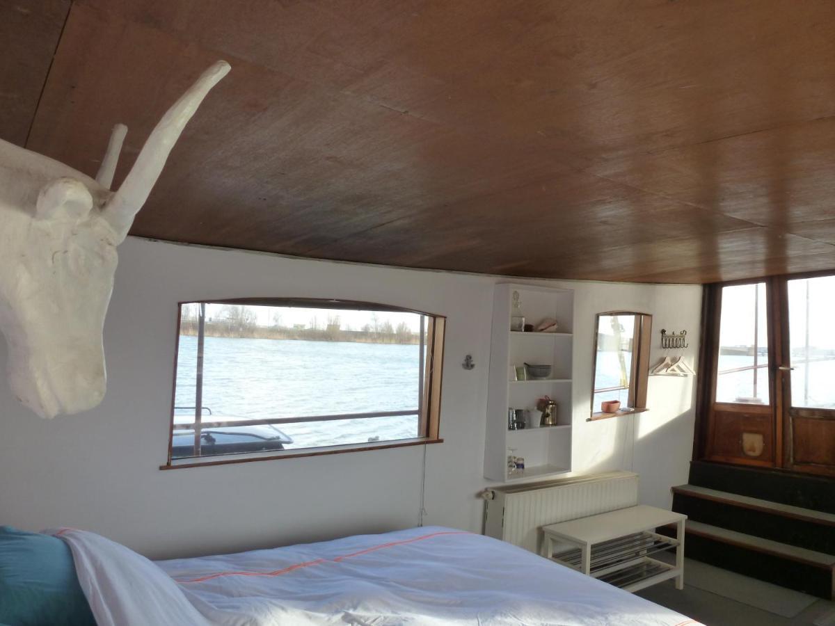 Bed In Boat Amsterdam B&B 외부 사진